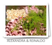 mesa&afins - Mini Wedding: Alexandra & Reinaldo