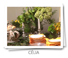 mesa&afins - Aniversário: Célia